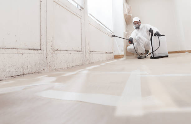 24/7 Emergency Mold Remediation experts in Hendersonville, TN
